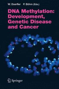 bokomslag DNA Methylation: Development, Genetic Disease and Cancer