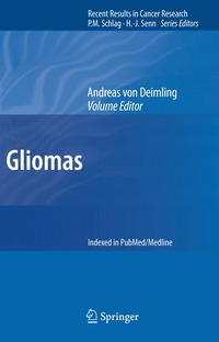 bokomslag Gliomas