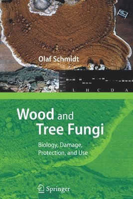 Olaf Schmidt - Wood and Tree Fungi, Häftad