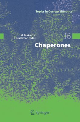 Chaperones 1