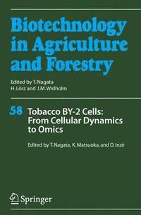 bokomslag Tobacco BY-2 Cells: From Cellular Dynamics to Omics