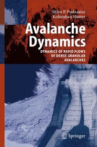 bokomslag Avalanche Dynamics