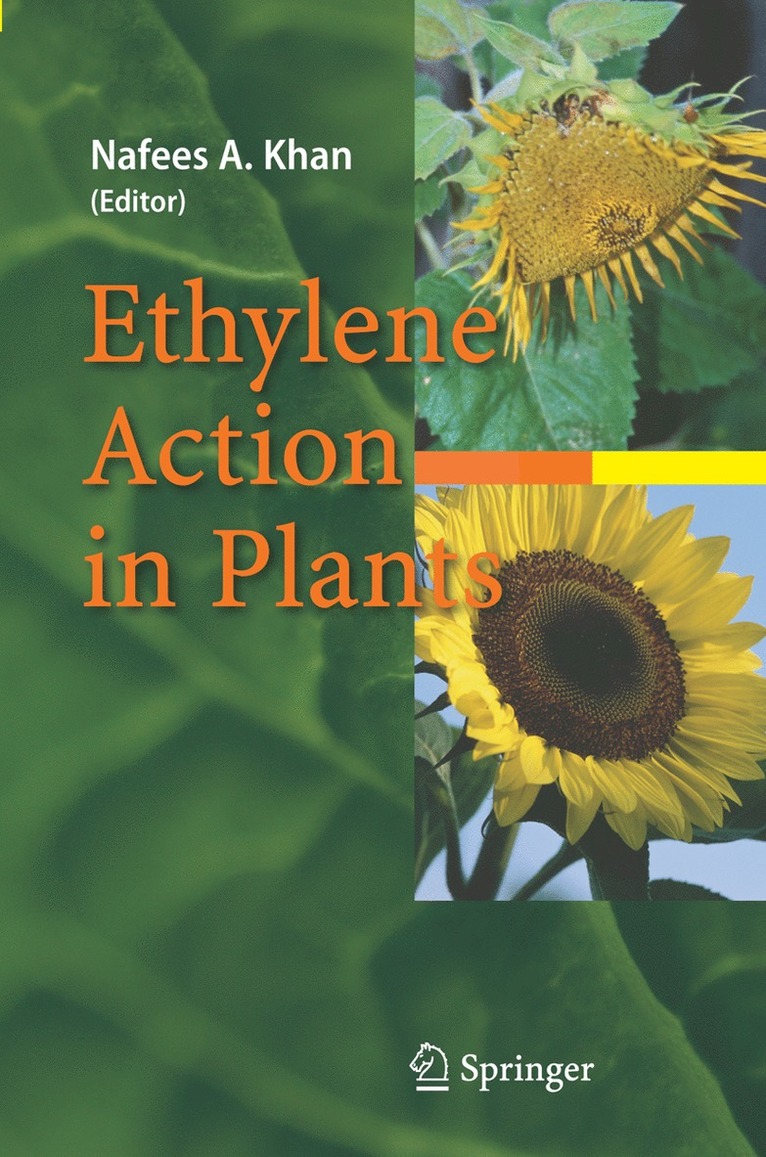 Nafees A. Khan - Ethylene Action in Plants, Häftad
