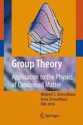 bokomslag Group Theory