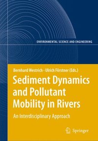 bokomslag Sediment Dynamics and Pollutant Mobility in Rivers