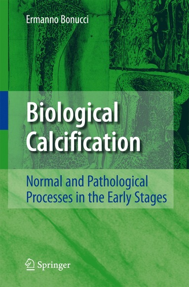 bokomslag Biological Calcification