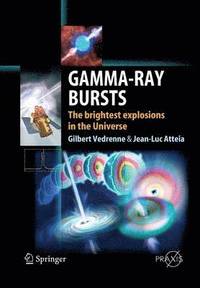 bokomslag Gamma-Ray Bursts