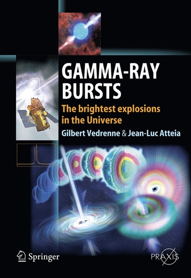 bokomslag Gamma-Ray Bursts