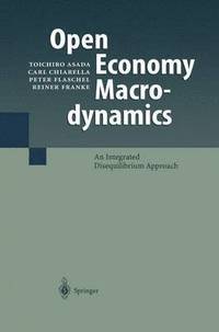 bokomslag Open Economy Macrodynamics