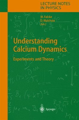 bokomslag Understanding Calcium Dynamics