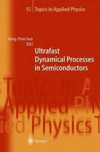 bokomslag Ultrafast Dynamical Processes in Semiconductors