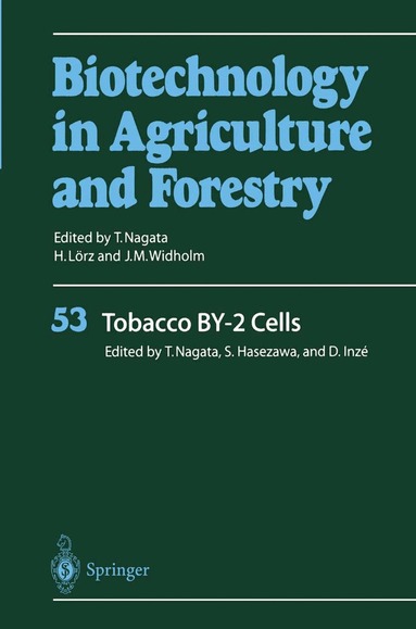 Toshiyuki Nagata, Seiichiro Hasezawa, Dirk Inzé - Tobacco BY-2 Cells, Häftad