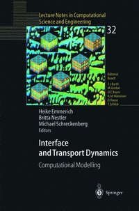 bokomslag Interface and Transport Dynamics