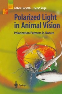 bokomslag Polarized Light in Animal Vision