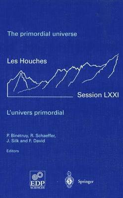 P. Binetruy, R. Schaeffer, J. Silk, F. David - primordial universe - L'univers primordial, Häftad