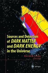 bokomslag Sources and Detection of Dark Matter and Dark Energy in the Universe