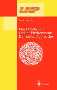 bokomslag Fluid Mechanics and the Environment: Dynamical Approaches