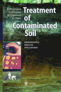 bokomslag Treatment of Contaminated Soil