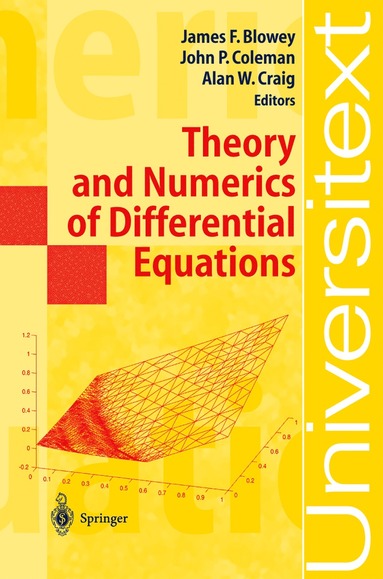 bokomslag Theory and Numerics of Differential Equations