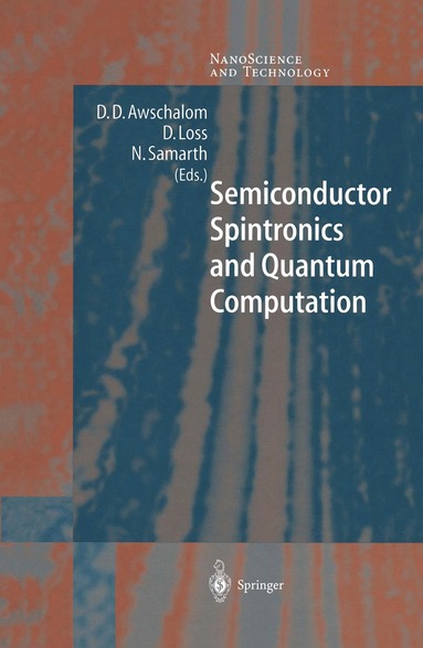 bokomslag Semiconductor Spintronics and Quantum Computation