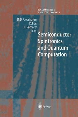 D.D. Awschalom, D. Loss, N. Samarth, D. D. Awschalom - Semiconductor Spintronics and Quantum Computation, Häftad
