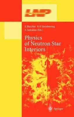 bokomslag Physics of Neutron Star Interiors