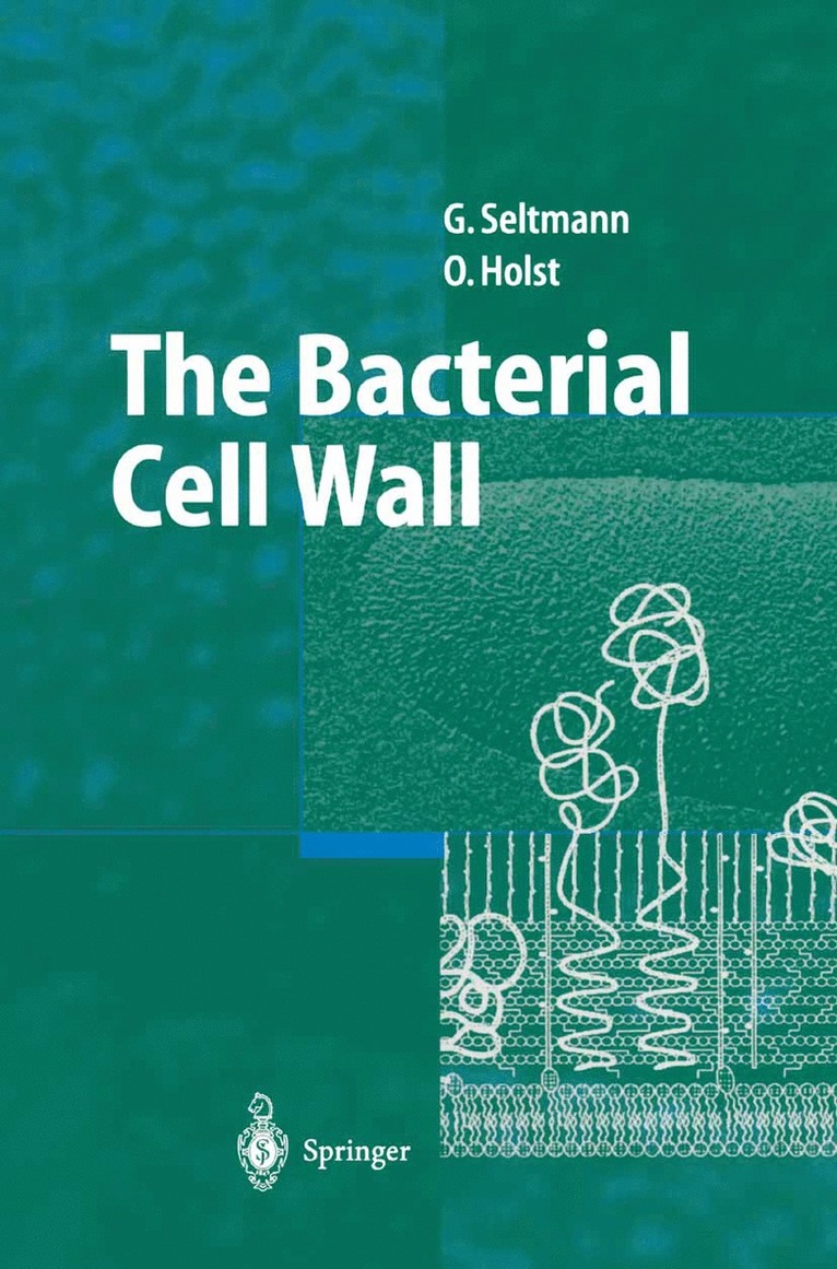 Guntram Seltmann, Otto Holst - Bacterial Cell Wall, Häftad