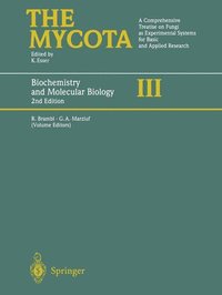 bokomslag Biochemistry and Molecular Biology