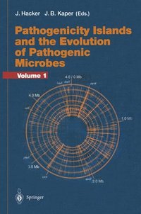 bokomslag Pathogenicity Islands and the Evolution of Pathogenic Microbes