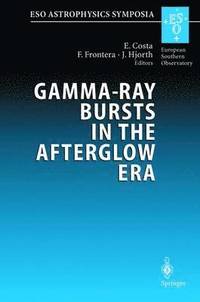 bokomslag Gamma-Ray Bursts in the Afterglow Era