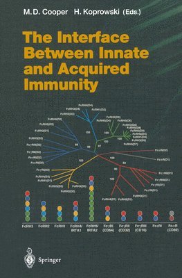 M.D. Cooper, H. Koprowski, M. D. Cooper - Interface Between Innate and Acquired Immunity, Häftad