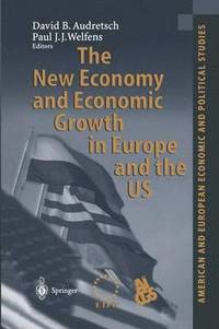 bokomslag The New Economy and Economic Growth in Europe and the US