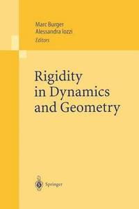 bokomslag Rigidity in Dynamics and Geometry