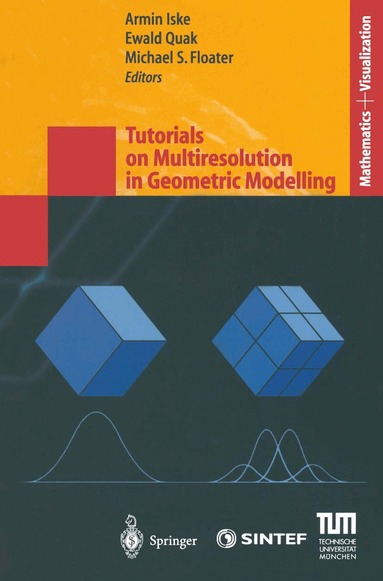 Armin Iske, Ewald Quak, Michael S. Floater - Tutorials on Multiresolution in Geometric Modelling, Häftad