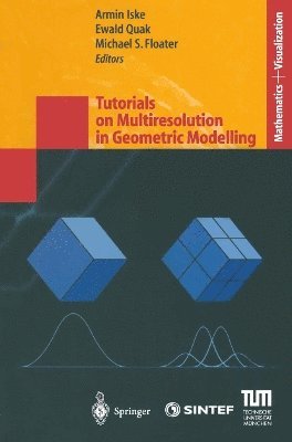 Armin Iske, Ewald Quak, Michael S. Floater - Tutorials on Multiresolution in Geometric Modelling, Häftad