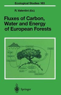 bokomslag Fluxes of Carbon, Water and Energy of European Forests