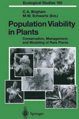 bokomslag Population Viability in Plants