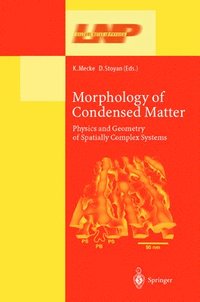 bokomslag Morphology of Condensed Matter