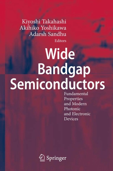 Kiyoshi Takahashi, Akihiko Yoshikawa, Adarsh Sandhu - Wide Bandgap Semiconductors, Häftad