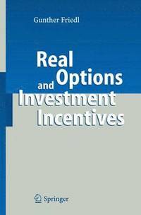 bokomslag Real Options and Investment Incentives