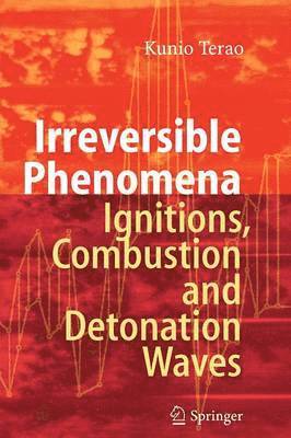 Irreversible Phenomena 1