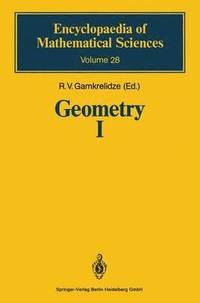 bokomslag Geometry I
