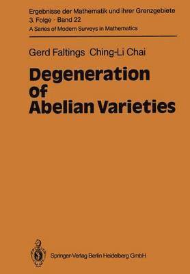 Degeneration of Abelian Varieties 1