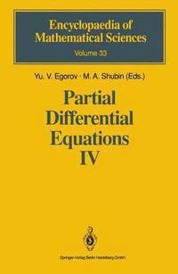 bokomslag Partial Differential Equations IV