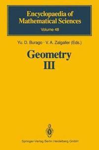 bokomslag Geometry III