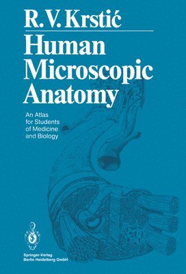 Human Microscopic Anatomy 1