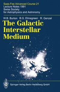 bokomslag The Galactic Interstellar Medium