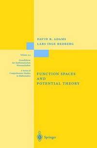 bokomslag Function Spaces and Potential Theory