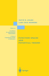 bokomslag Function Spaces and Potential Theory