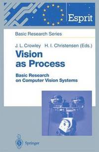 bokomslag Vision as Process